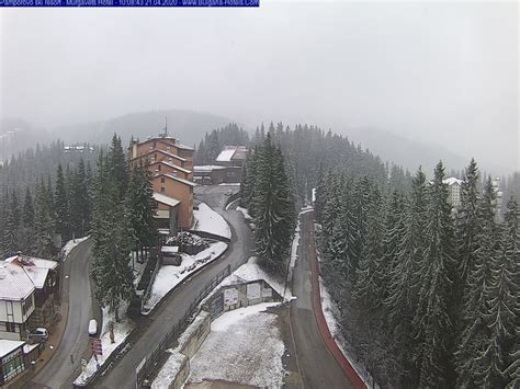 pamporovo live cam|Webcams Pamporovo 